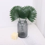 植物家居单支仿真绿植