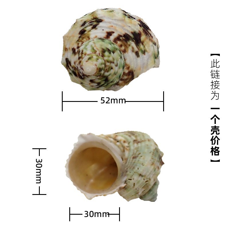 X75 다채로운 달팽이는 4-5cm 크기의 게에 적합합니다.