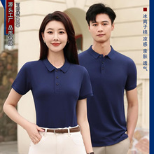 8088���x���ް���ɫ���I����POLO����I�ļ����������N�۹��bT��
