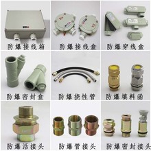 BHJ防爆活接头管接头G1/2-G4寸碳素钢不锈钢黄铜过线密封接头厂家