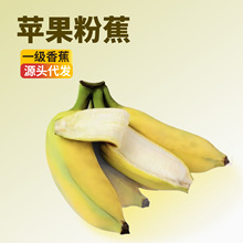 �V���O���۽����r�㽶���l����ˮ����Ŵ�۽��ЋD��ͯˮ��������]