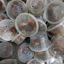 з�tз����з�~��з���w�з���з�ؔ�з�������b���l�t��ˮ��