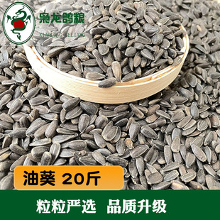 �Ϳ�20�� �t����20�� С�G��20�� ����20�� �Q��20��ِ���Bʳ