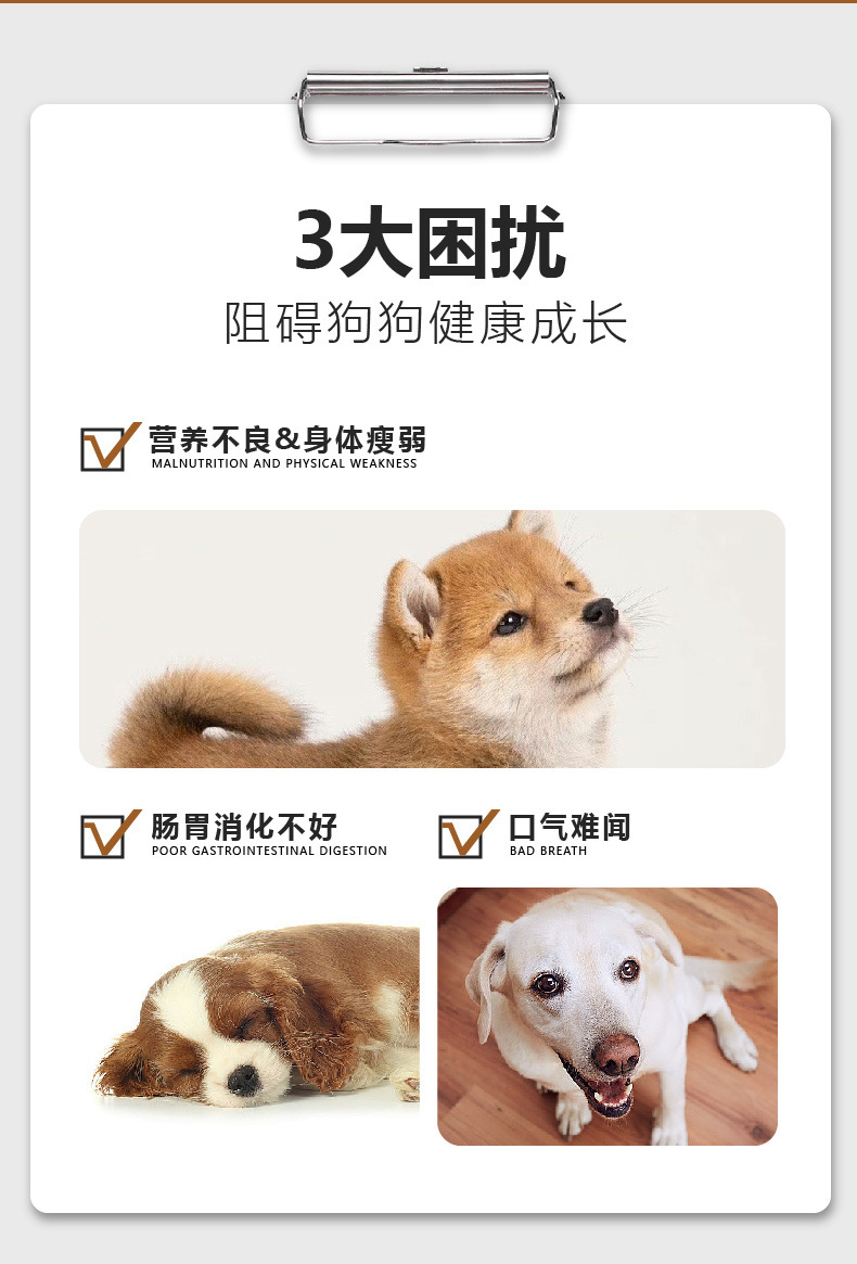 c8195ed7-1132-47e6-8bef-169a8e3fb188.jpe