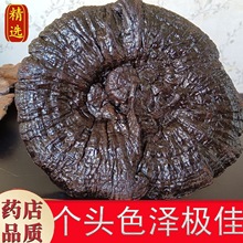 �L��ɽ�`֥��Ұ�����`֥���l�ݾ�����֥��֦���Ҝ���Ƭ����]���b