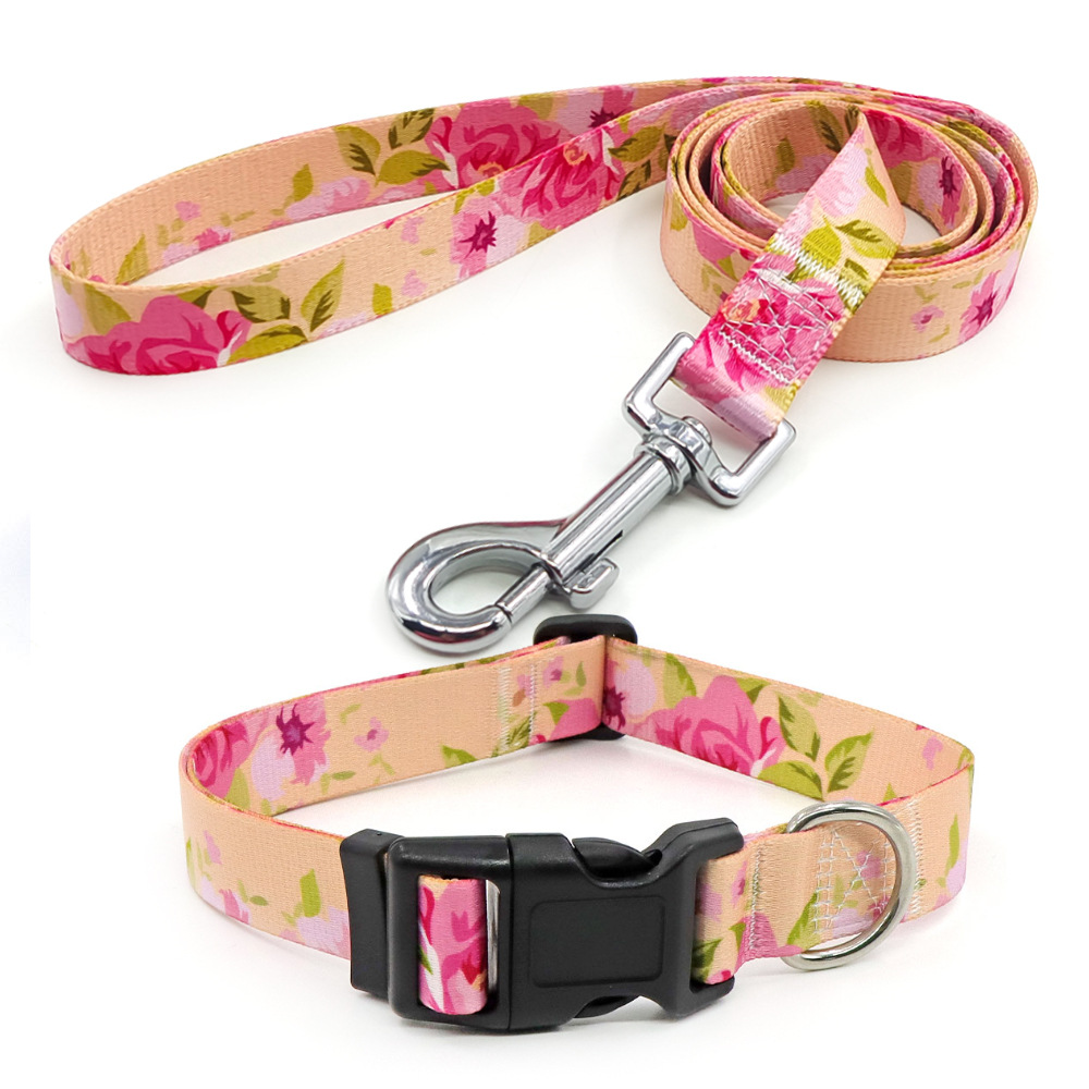 Amazon al por mayor collar de mascota corda de tracción al aire libre paseo perro collar perro collar en el viento