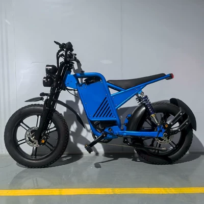 Electric Assist Bike Dual Shock | Diàndòngchē Auto Parts and Accessories