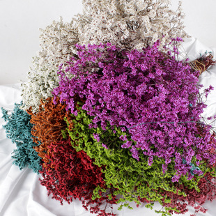 ������ˮ������ϏS�����l�������ɻ�������Y�b����������ˮ��