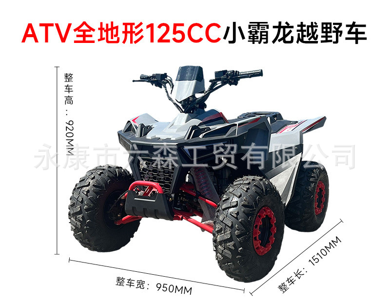 Cross-Border All-Terrain Four-Wheel Off-Road Beach Motorcycle Atv125-150Cc Xiaoba Long Fuel-Powered Electric Vehicle for Children and Adults
