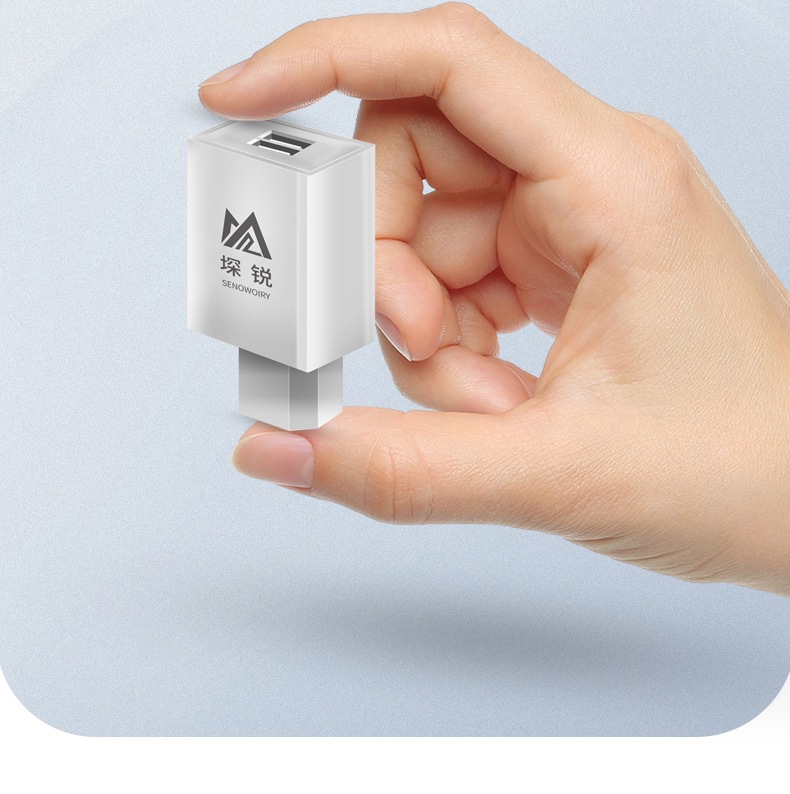Electric Vehicle Charging Adapter USB Car Charger