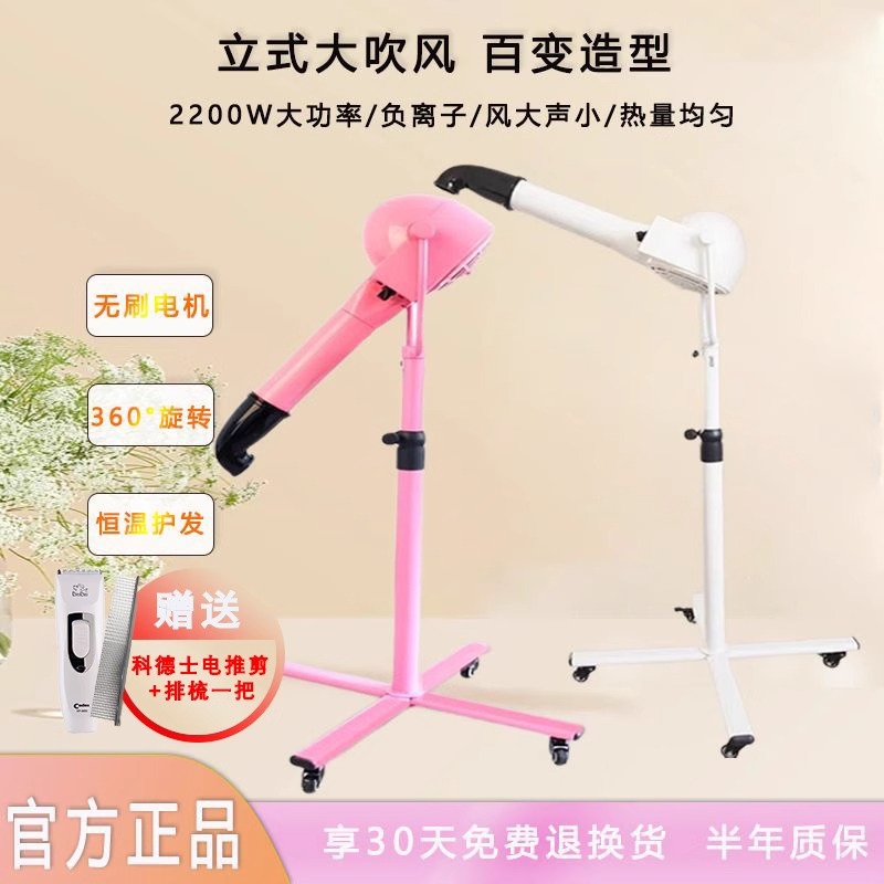 Chunzhou Pet Shop Beauty Styling Teddy Bichon Secador de pelo grande especial para perros Máquina de cepillado vertical de iones negativos