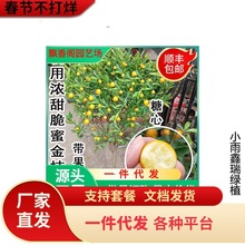 һ�����l��ۘ����Ԏ�����Ƥ������ļ����X�٘������ǽ�ۘ����