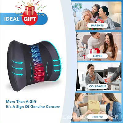 Pad Car Lumbar Pillow – Waist support