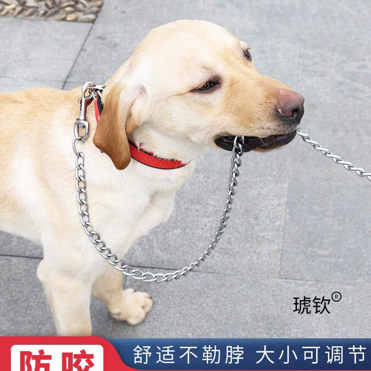 Цепочка для домашних животных, поводок для собак против укуса, поводок для собак Тедди, золотистый ретривер, цепочка для собак, ошейник для собак большого и среднего размера