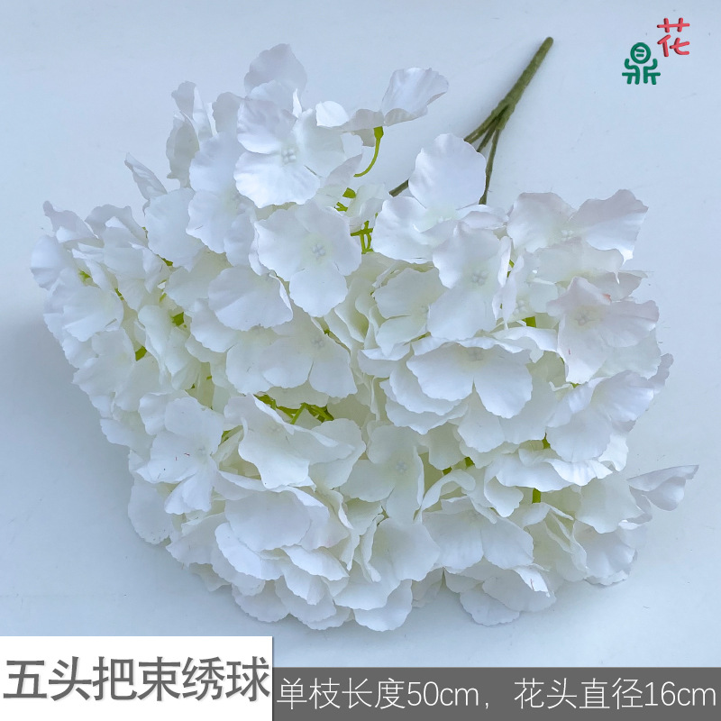 Five -headed hosem LS white