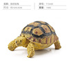 Realistic animal model for crawling, cognitive decorations, jewelry, toy