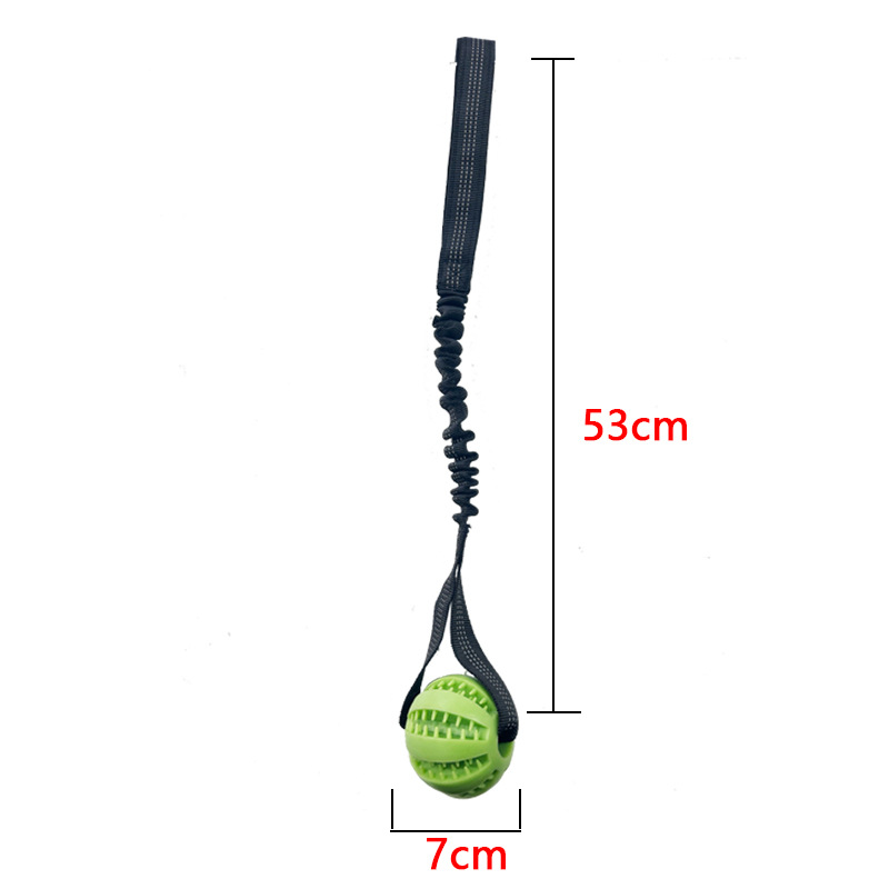 Perro fugas de comida bola puzzle mordida resistente dientes dorados corky para aliviar el aburrimiento juguetes de bolas elásticas al aire libre lanzamiento de entrenamiento image 8
