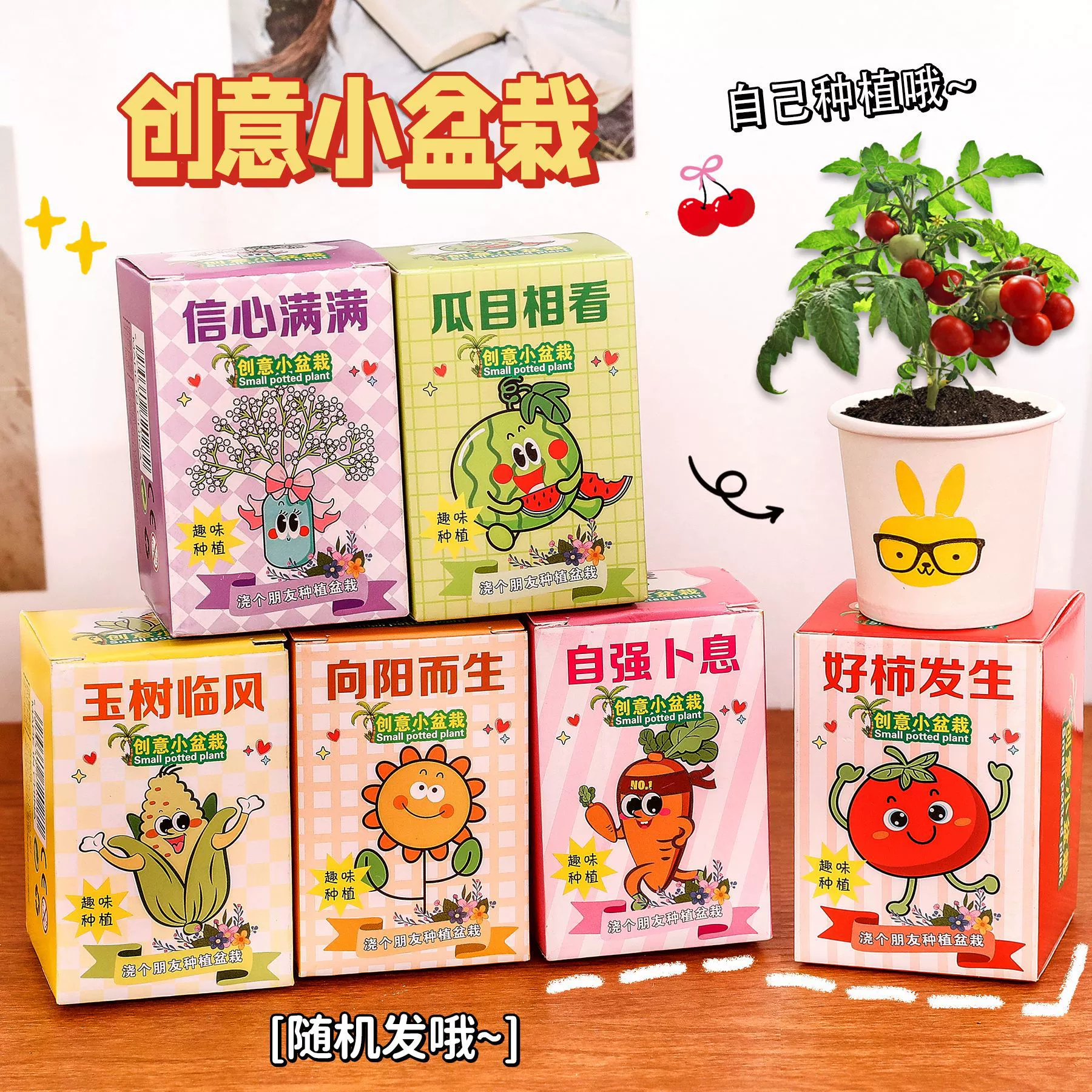 Children's plant planting, blind box potted plants, kindergarten desktop green plant ornaments, student inspirational prizes, gifts, small potted plants