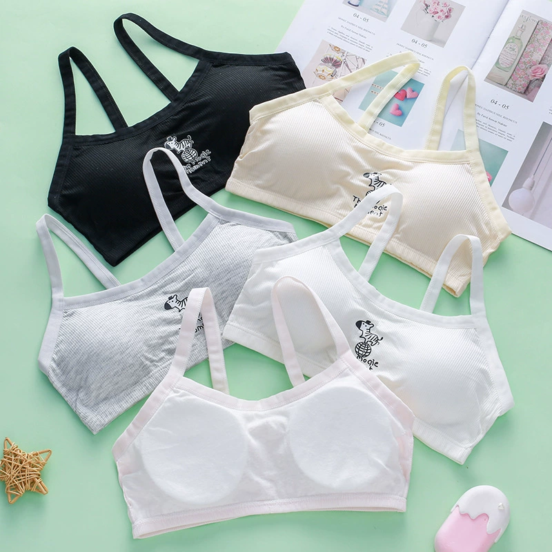 Оптовая продажа модерского нижнего белья