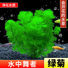 �G��ˮ��ֲ���~������쾰��ˮ���ݽ��~�����ˮ�ݑ����B�~ˮ��