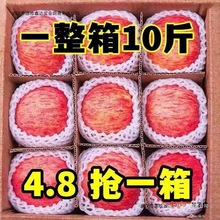 洛川红富士苹果新鲜当季水果冰糖心脆甜10斤整箱包邮中国大陆一级