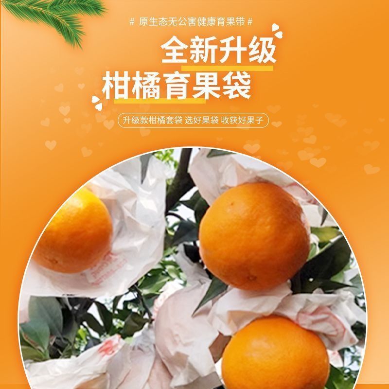 柑橘专用套袋丑柑春见耙柑不知火橘子脐橙红美人爱媛果纸袋包邮|undefined