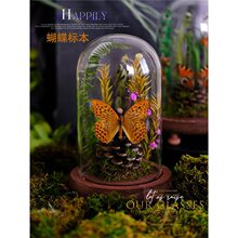 �����˱��b[������������΢���^���B��ֲ��ɻ����}�[���Ӱ��g