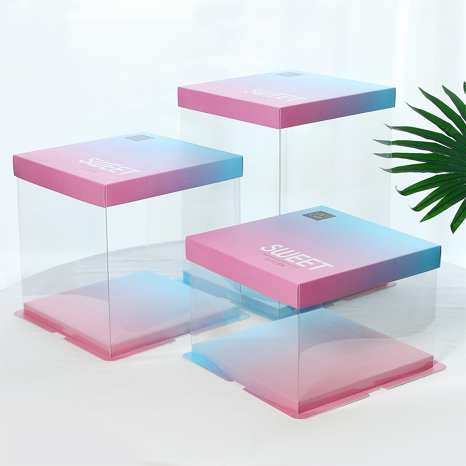 单双层加高6/8/10/12寸包装盒透明炫彩渐变生日蛋糕盒烘焙包装盒