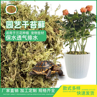 Hermit Crab Products, Pet Supplies, Natural High-Quality Dry Moss Bedding, Landscaping, Water-Absorbing and Environmentally Friendly