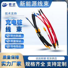 Դ܇ VW-1ȼ͸ߜس늘|늳B