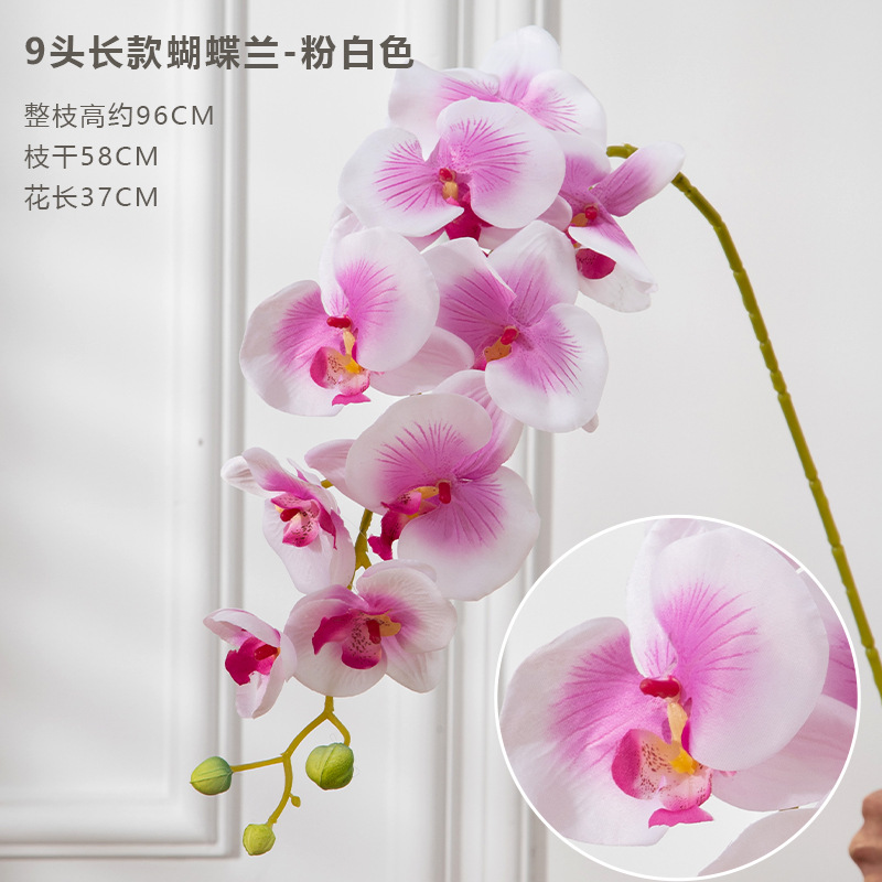9 포크 phalaenopsis 핑크 화이트