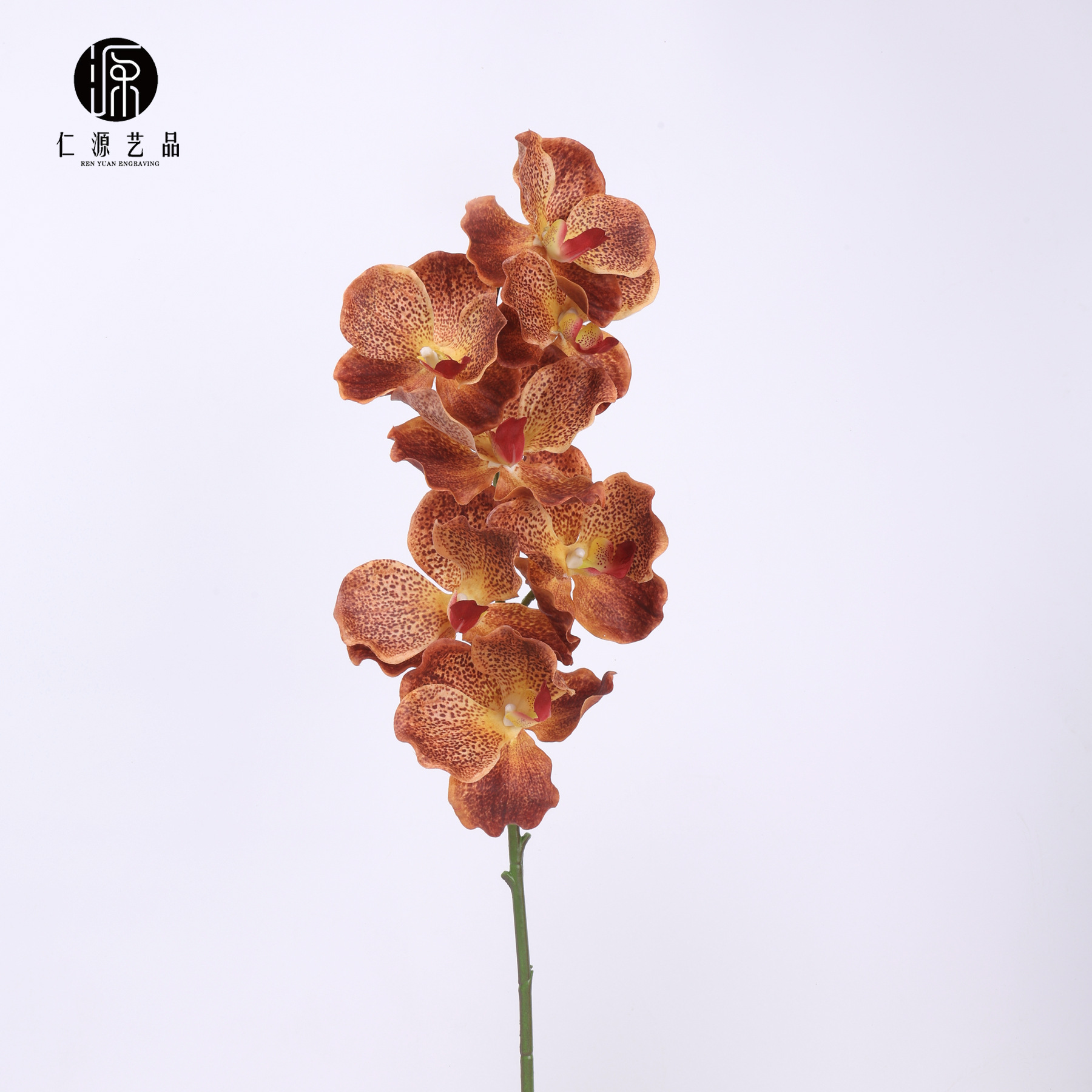 Fábrica directa de 7 orquídeas mariposa orquídeas