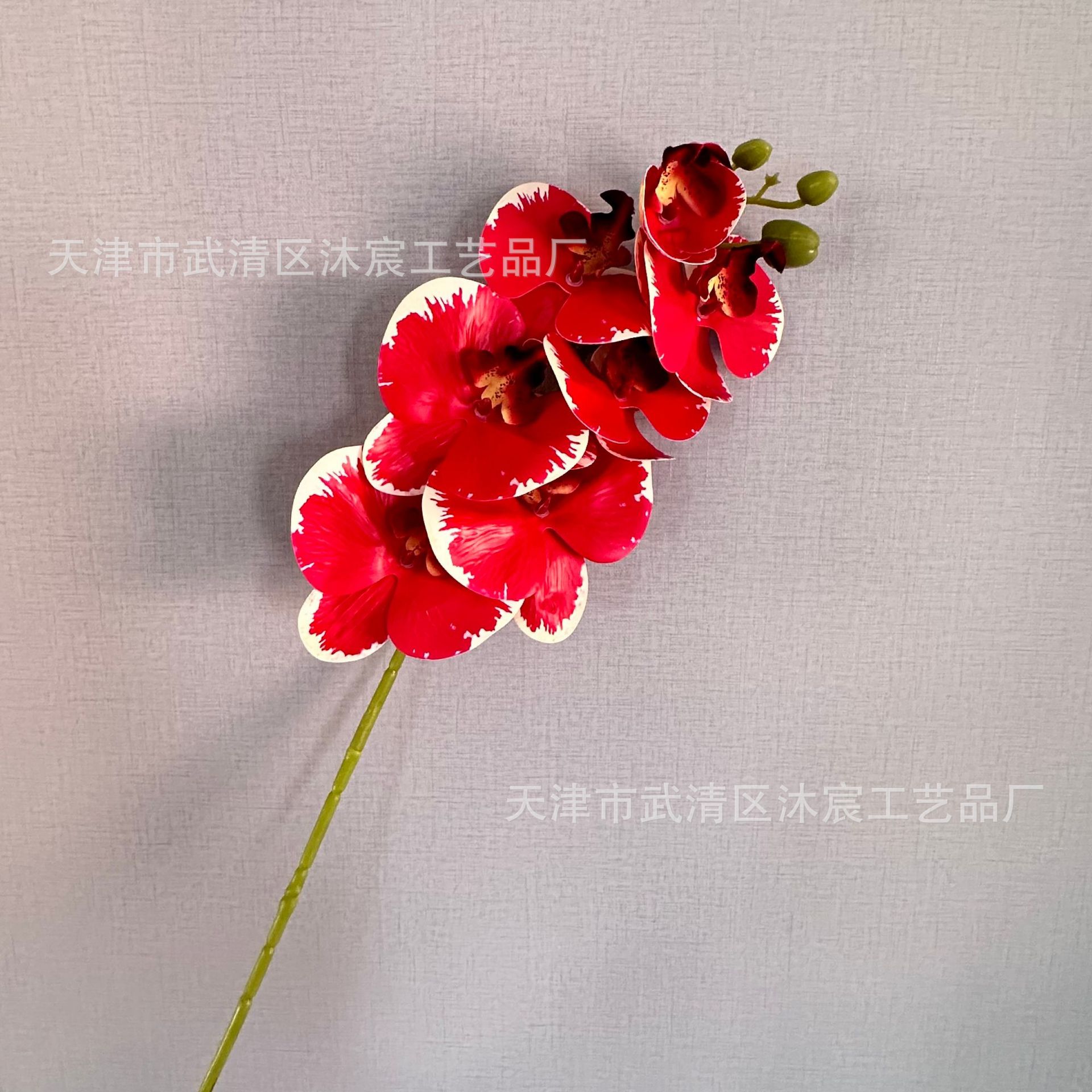 3D 7-cabeza Phalaenopsis mano-sensación de película Phalaenopsis venta al por mayor boda hogar decoración floral tiro flor material