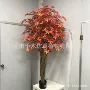 代发落地盆栽客厅红枫树