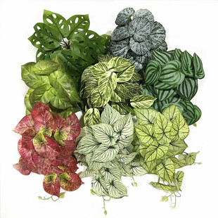 �·���Gֲֲ����^�쾰�b������С�����~�����~�����~���~