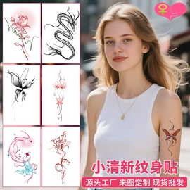 纹身贴;画纸、画布;不干胶标签
