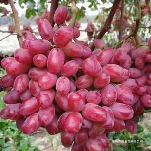 �o�Ѽt��˂�����������5��������rˮ�������������ЋDС��ˮ��