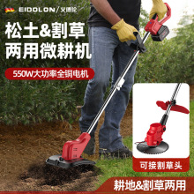 2024�¿�΢���C��݆2024�¿��늶๦��΢���CС�ͳ��������C