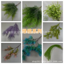 ��c�Gֲ����ֲ��廨ϵ��ɭϵ�ٻ�������Y�þƵ��b������l