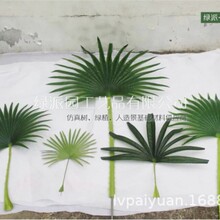 ͷؙؙ~ȿ侰^b京~