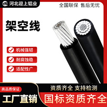 厂家直发国标耐热铝绞线 铝芯电缆 电力工程户外架空裸电线