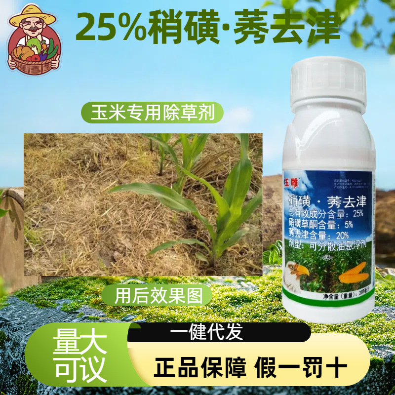 玉米田除草剂玉雕25%硝磺莠去津除草剂禾叶阔叶双除玉米苗后除草