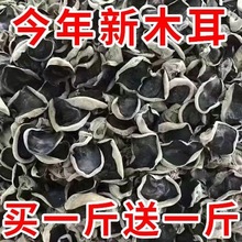 东北黑木耳500g干货特级小碗耳秋木耳无根干木耳野生软糯凉拌肉厚