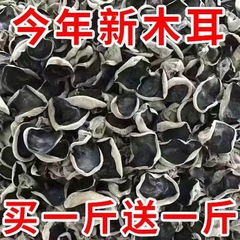 東北黒きくらげ 500g 乾物 特小ボウルきくらげ 根なし乾燥きくらげ 野生の柔らかくもちもちの冷製肉厚きくらげ