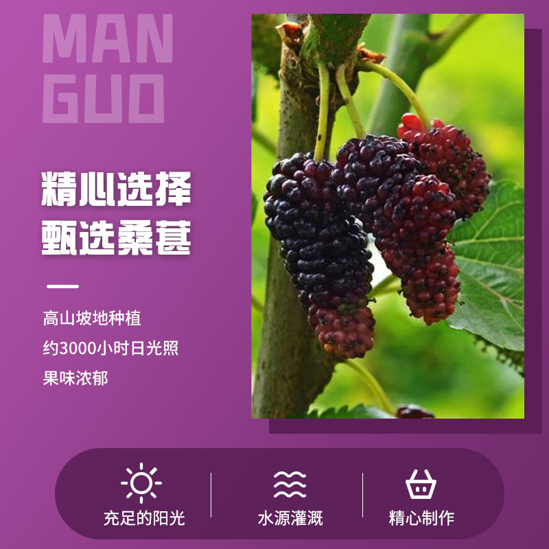 Original factory wholesale trendy snack supply sour and sweet street fruit and vegetable candy dried fruit mulberry dried fruit