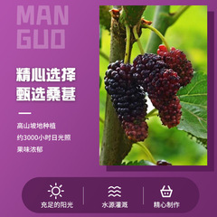 Original factory wholesale trendy snack supply sour and sweet street fruit and vegetable candy dried fruit mulberry dried fruit