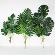 �����ָ������~�����~���G�}�~�Ҿ�����������~�zӰ���ߔ[���Gֲ