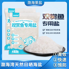 袋装海盐 观赏鱼专用盐淡海水养殖盐海盐矿物盐 1袋