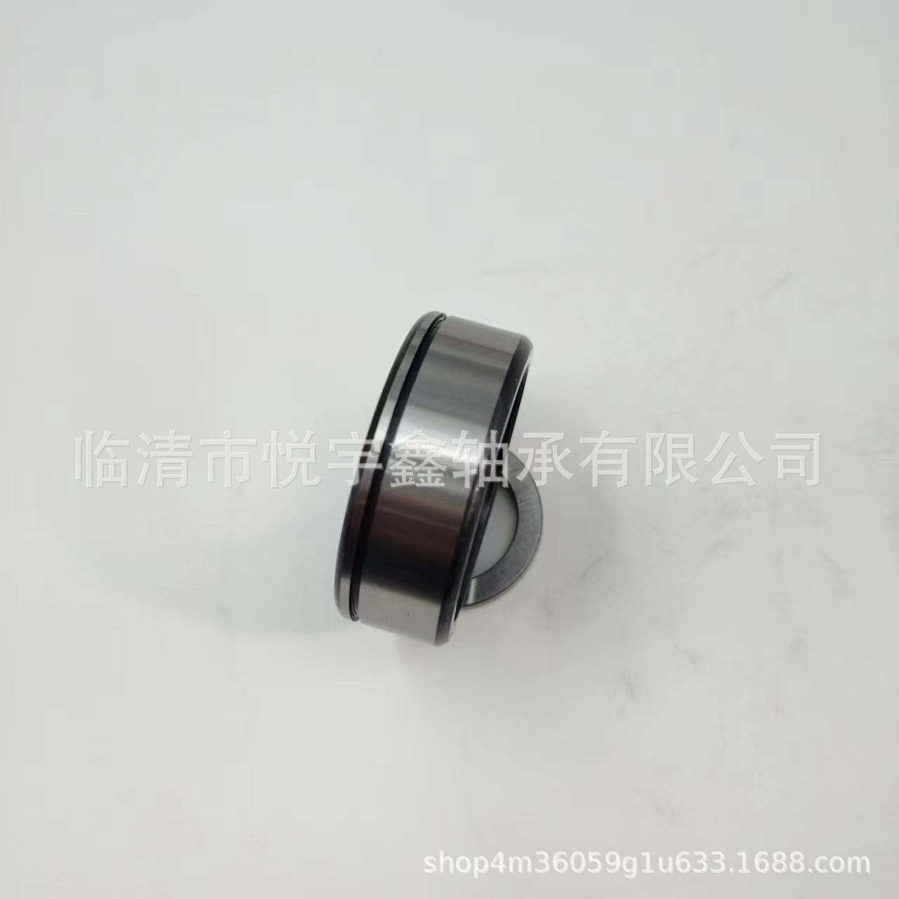 SI183004 SI183005 SI183006 SI183008  装满圆柱滚子轴承