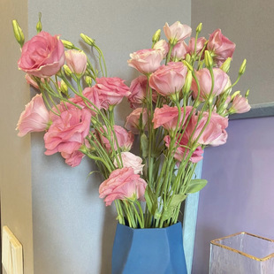 Indoor Living Room Flower Arrangement Hydroponic Real Flower Birthday Bouquet Yunnan Factory Direct Delivery Cross-Border Supply Chain Factory Foreign Trade Wholesale